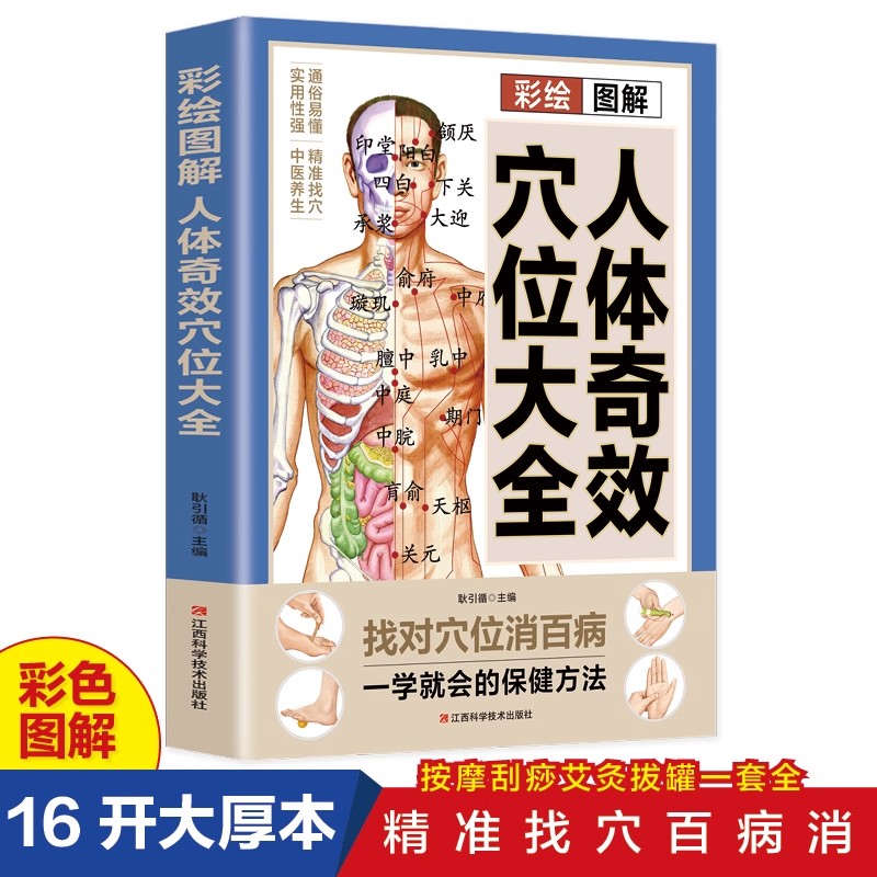 Guía Completa de Masaje de Pun - Health & Wellness Là Gì reseña y precio